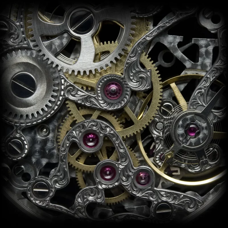 Kudoke Black Beauty Back details