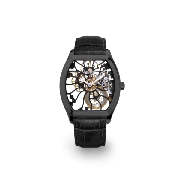 Claude Meylan Rainbow Turtle 6047-NN