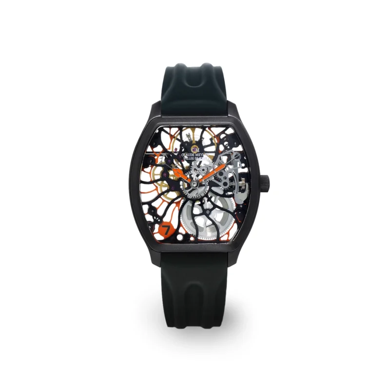 Claude Meylan Rainbow Turtle 6047-NO