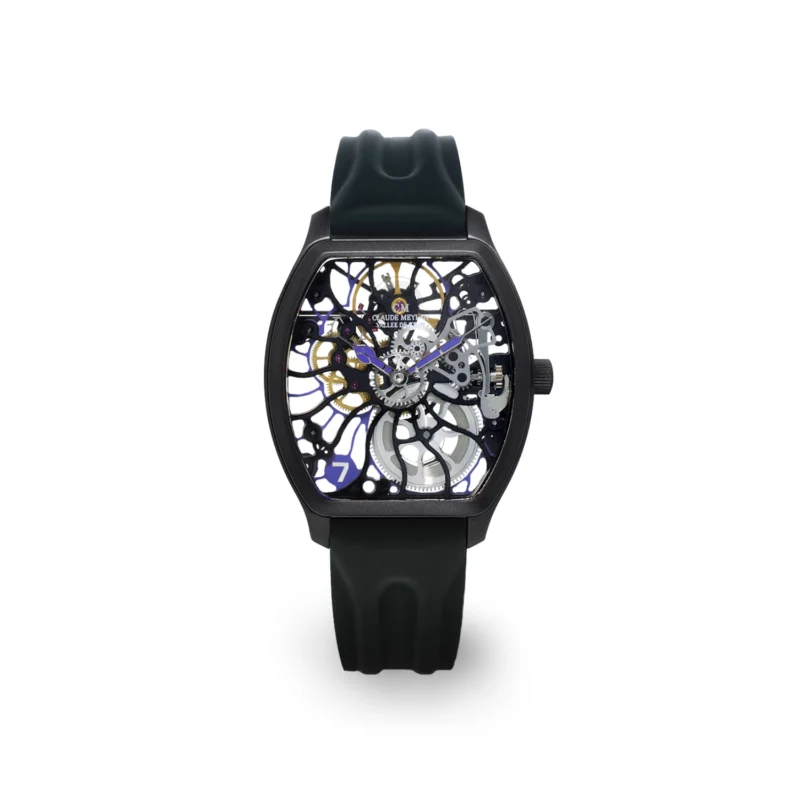 Claude Meylan Rainbow Turtle 6047-NP