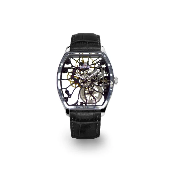 Claude Meylan Rainbow Turtle 6047-SN | VAQT Horology